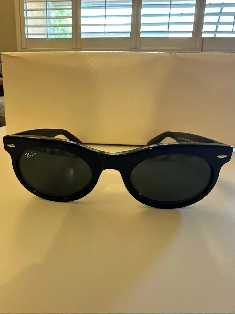 Ray-Ban Oval Wayfarer Black Frames with Green Lenses Sunglasses with a case